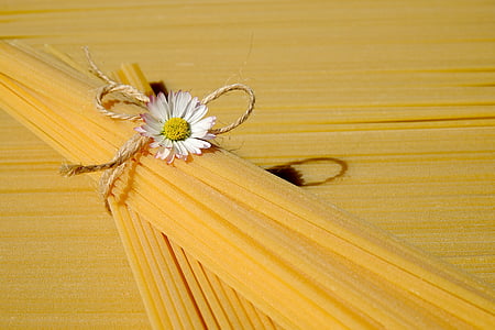 raw pasta tied with brown rope with daisy accent thumbnail