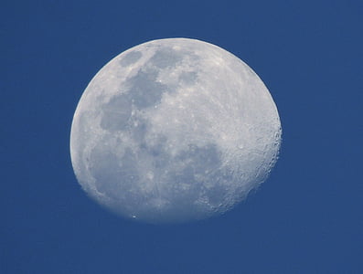 low angle photo of full moon thumbnail