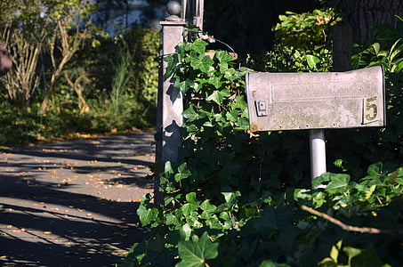 brown mailbox beside the gate thumbnail