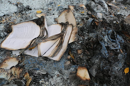 burned book pages thumbnail