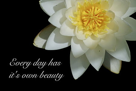 everyday has it's own beauty quotes thumbnail