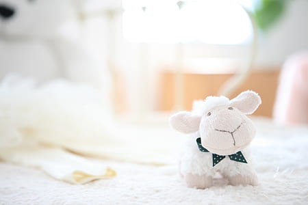 closeup photography of white sheep plush toy thumbnail