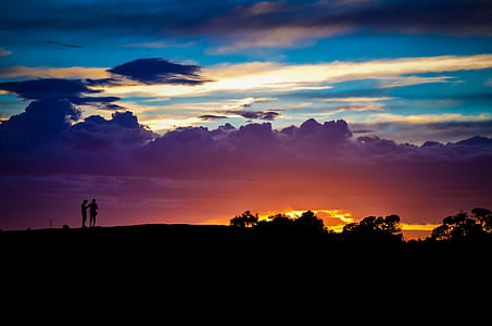 trees silhouette during golden hour thumbnail