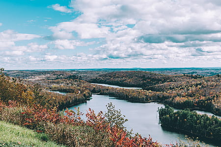 aerial photograph of flowers and lake thumbnail