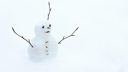 snowman with twig arms thumbnail