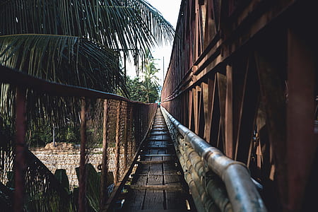 empty wooden bridge near trees thumbnail
