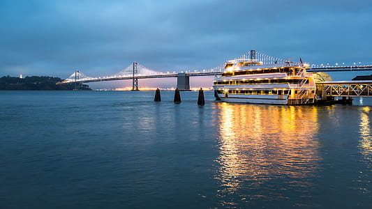 white cruise ship beside dock thumbnail