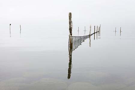 body of water with wooden posts thumbnail
