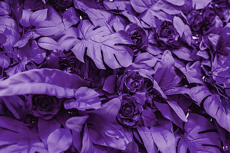 Pantone Colour Of The Year 2018: Ultra Violet thumbnail