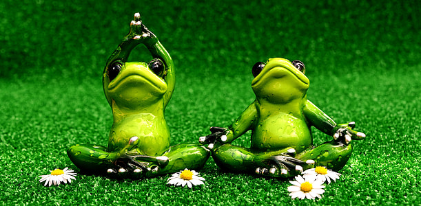 shallow focus of two green ceramic frogs figurines with four daisy flowers during daytime thumbnail