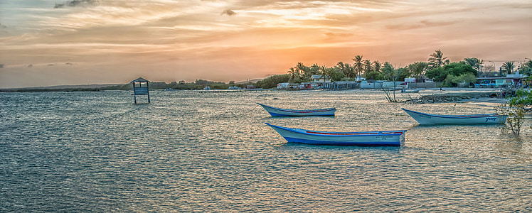 white rowboats on sea thumbnail