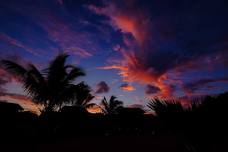 dawn, landscape, nature, sky thumbnail