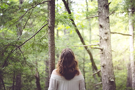 woman standing and looking at the tree thumbnail