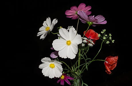 bouquet of assorted flowers thumbnail