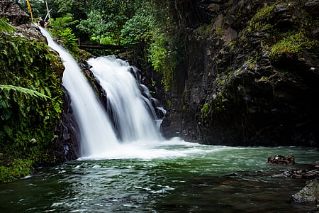 photograph of waterfalls surround green plants thumbnail