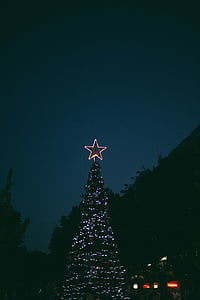 selective focus photography of turned-on Christmas light thumbnail