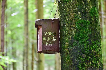 brown mail box on tree thumbnail