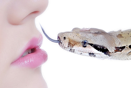 snake close to persons lips thumbnail