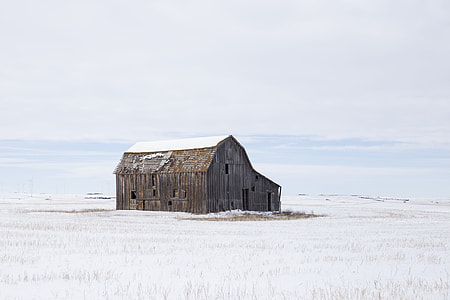 brown wooden cabin surrounded by snow thumbnail