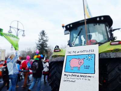 The Pig Of Happiness board on tractor thumbnail