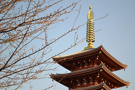 low-angle photography of pagoda temple top at daytime thumbnail