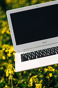 Laptop computer, mobile phone and spring rapes field thumbnail