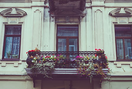 building, vintage, architecture, windows thumbnail