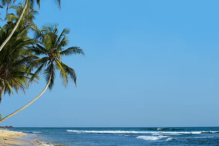 sea, nature, sky, beach thumbnail