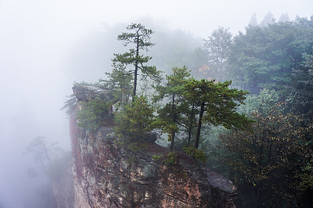 green trees on brown rock formation thumbnail