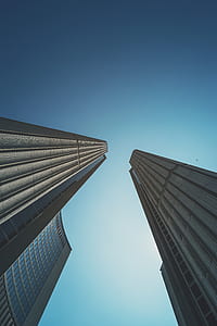 buildings, skyscrapers, architecture, low angle shot thumbnail