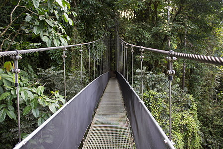 photo of gray and black hanging bridge near green trees thumbnail