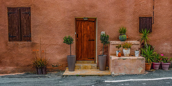 two potted plants outside brown wooden door thumbnail