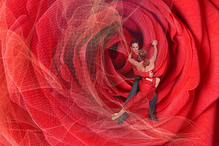 man and woman dancing with red rose background thumbnail