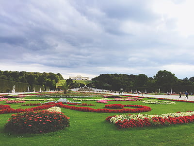 park with red and white petaled flowers thumbnail