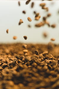 closeup photo of coffee beans thumbnail