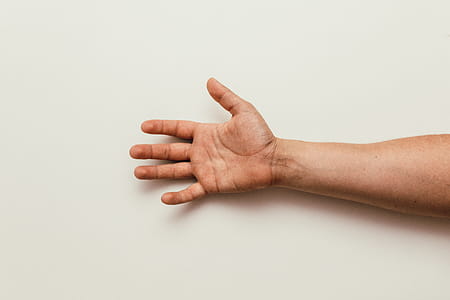 Person's Right Hand thumbnail
