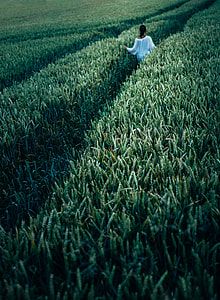 photo of woman walking surrounded by green plants thumbnail