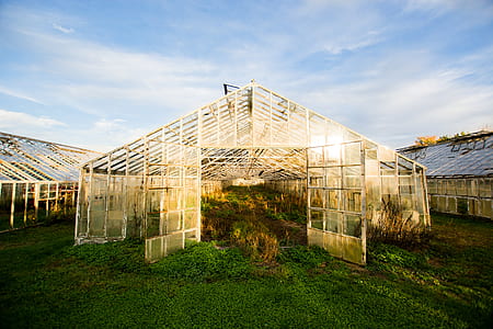 greenhouse with plants inside thumbnail