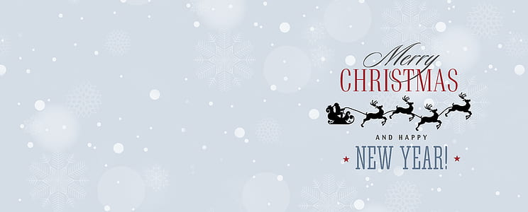 Merry Christmas New Year illustration thumbnail