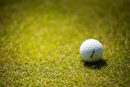 field, grass, sport, ball thumbnail
