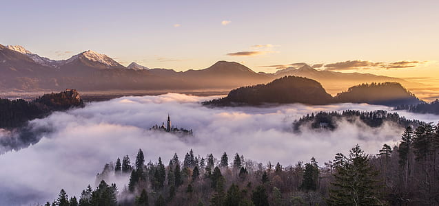 landscape, mountains, nature, forest thumbnail