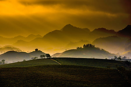 silhouette of trees over mountain range thumbnail
