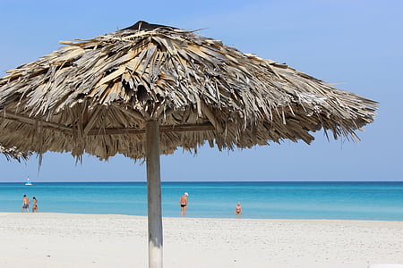 brown tiki umbrella on seashore thumbnail