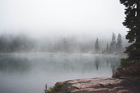 lake surrounded by green trees and fog during daytime thumbnail