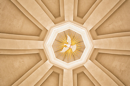 brown concrete dome building thumbnail