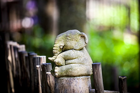 selective focus photography of elephant statue thumbnail