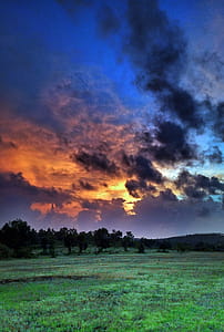 Green Grass during Sunrise thumbnail