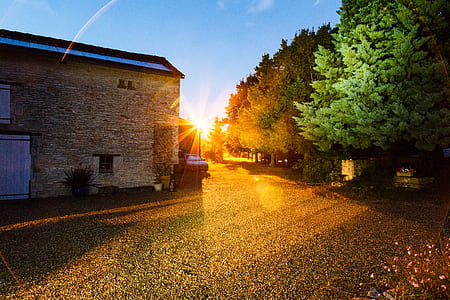 wood, light, road, landscape thumbnail