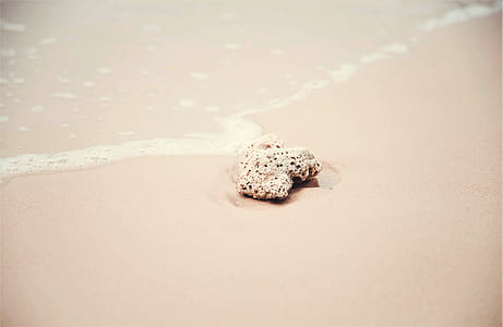 beige stone on seashore thumbnail