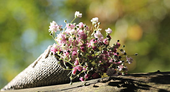pink flowers selective focus photography thumbnail